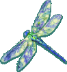 Dragonfly's Avatar