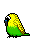 Parakeet